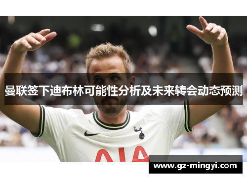 曼联签下迪布林可能性分析及未来转会动态预测