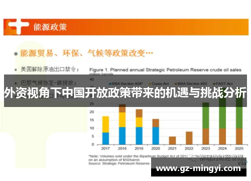 外资视角下中国开放政策带来的机遇与挑战分析