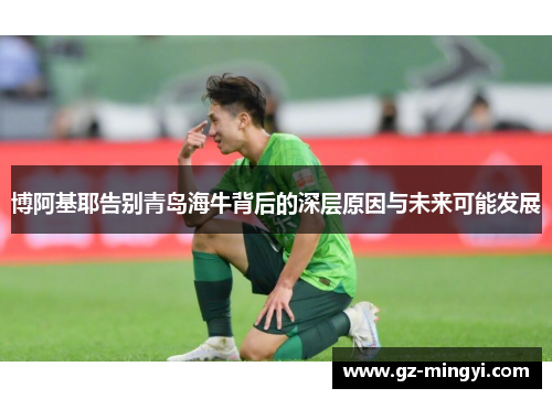 博阿基耶告别青岛海牛背后的深层原因与未来可能发展