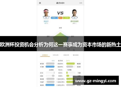 欧洲杯投资机会分析为何这一赛事成为资本市场的新热土 欧洲杯投资机会分析为何这一赛事成为资本市场的新热土