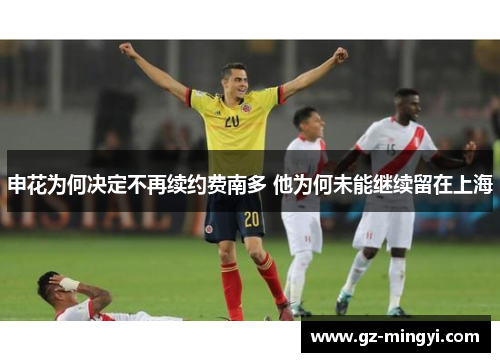 申花为何决定不再续约费南多 他为何未能继续留在上海