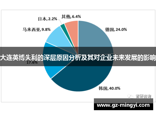 大连英博失利的深层原因分析及其对企业未来发展的影响
