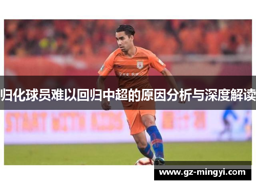 归化球员难以回归中超的原因分析与深度解读