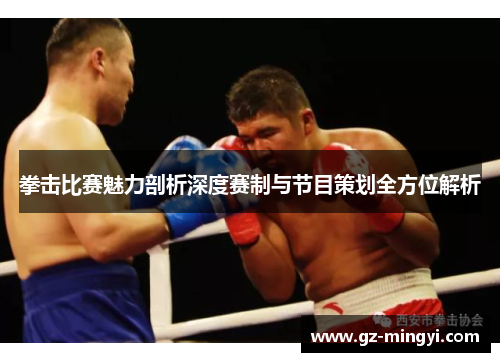 拳击比赛魅力剖析深度赛制与节目策划全方位解析